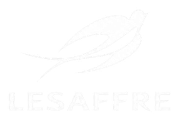 Client Logo 11